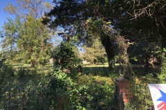 IMG_0999